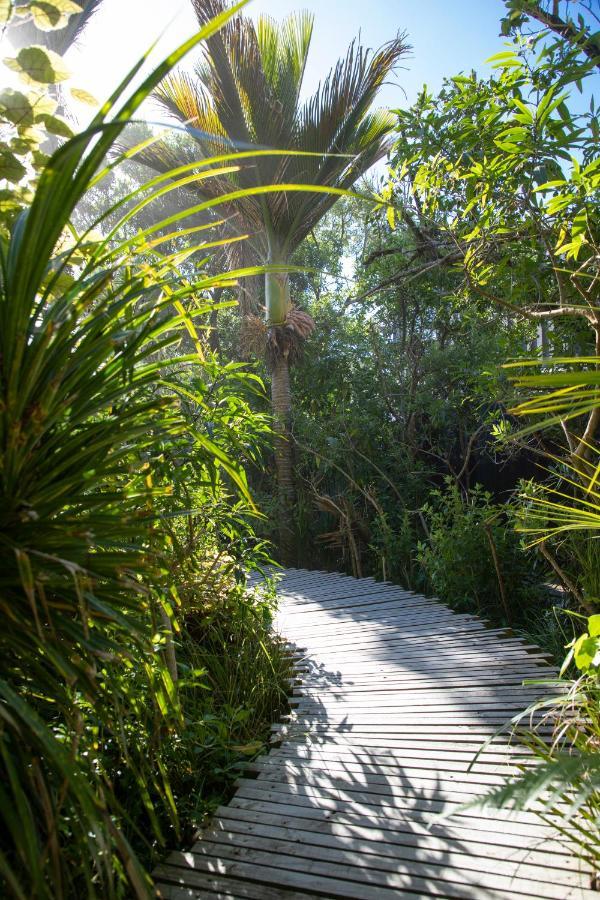 Seascapes Villa Punakaiki Kültér fotó